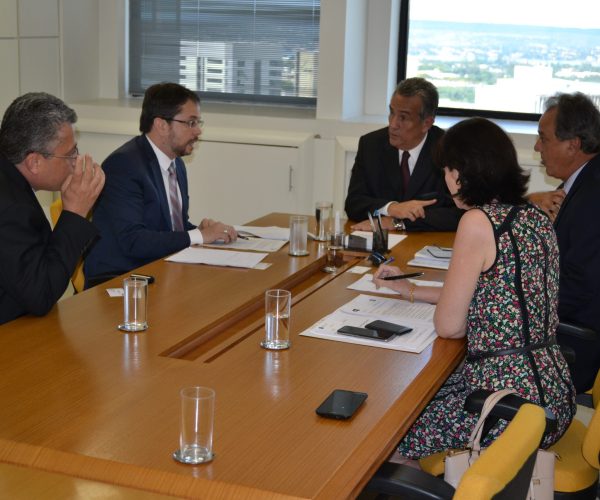 Licitação ao vivo pela internet