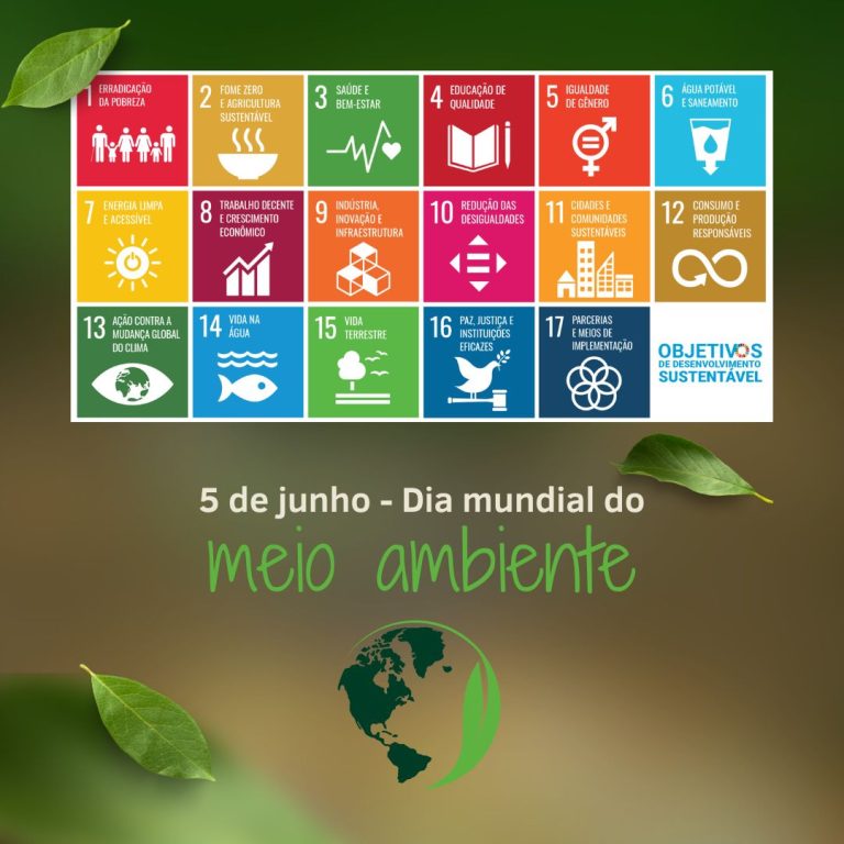 WhatsApp-Image-2024-06-05-at-19.00