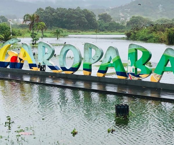 Projeto do Parque Ecológico Lagoa das Capivaras